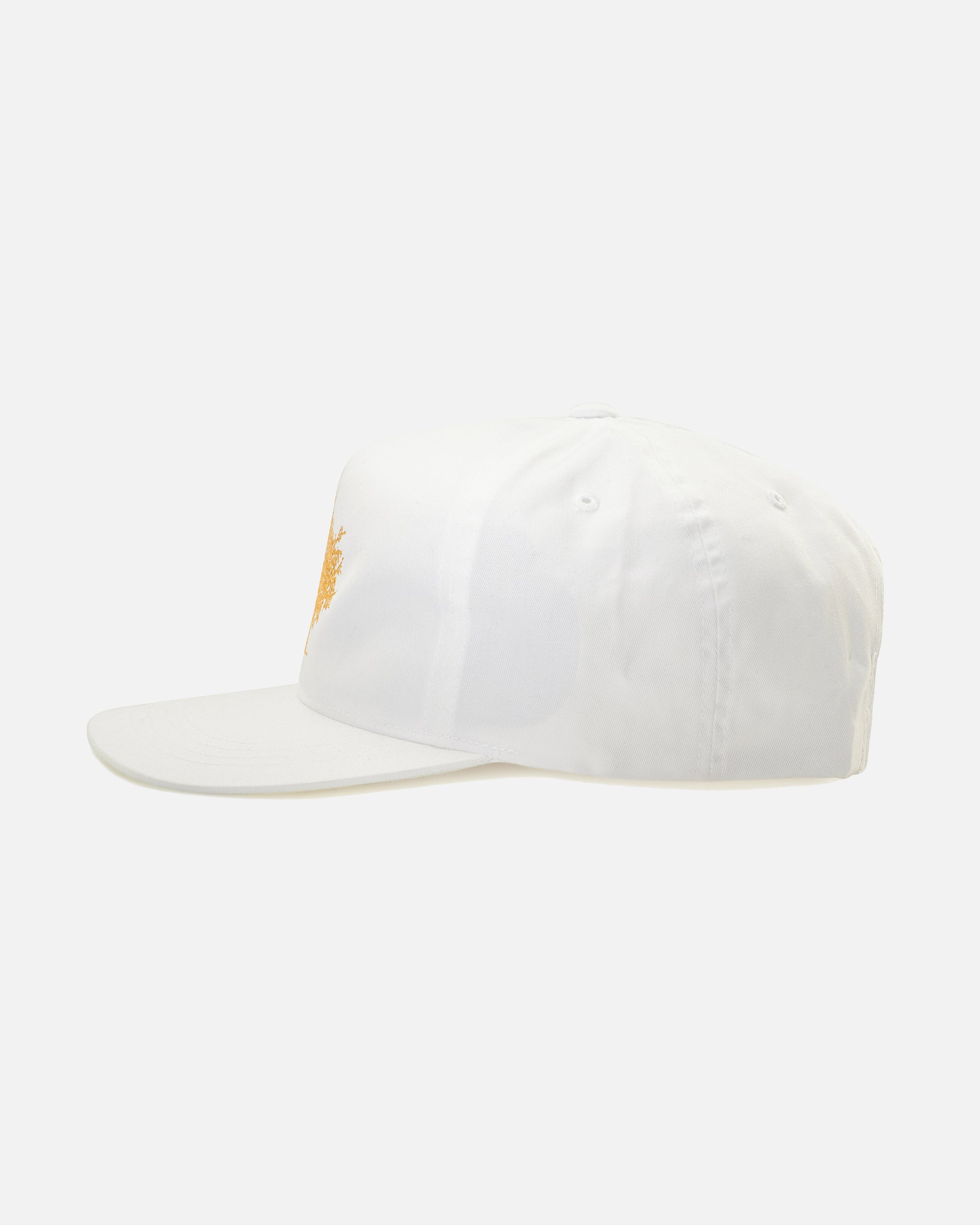 lids money tree hat Money tree snapback (White/Gold) – Expensiv Lifestyle