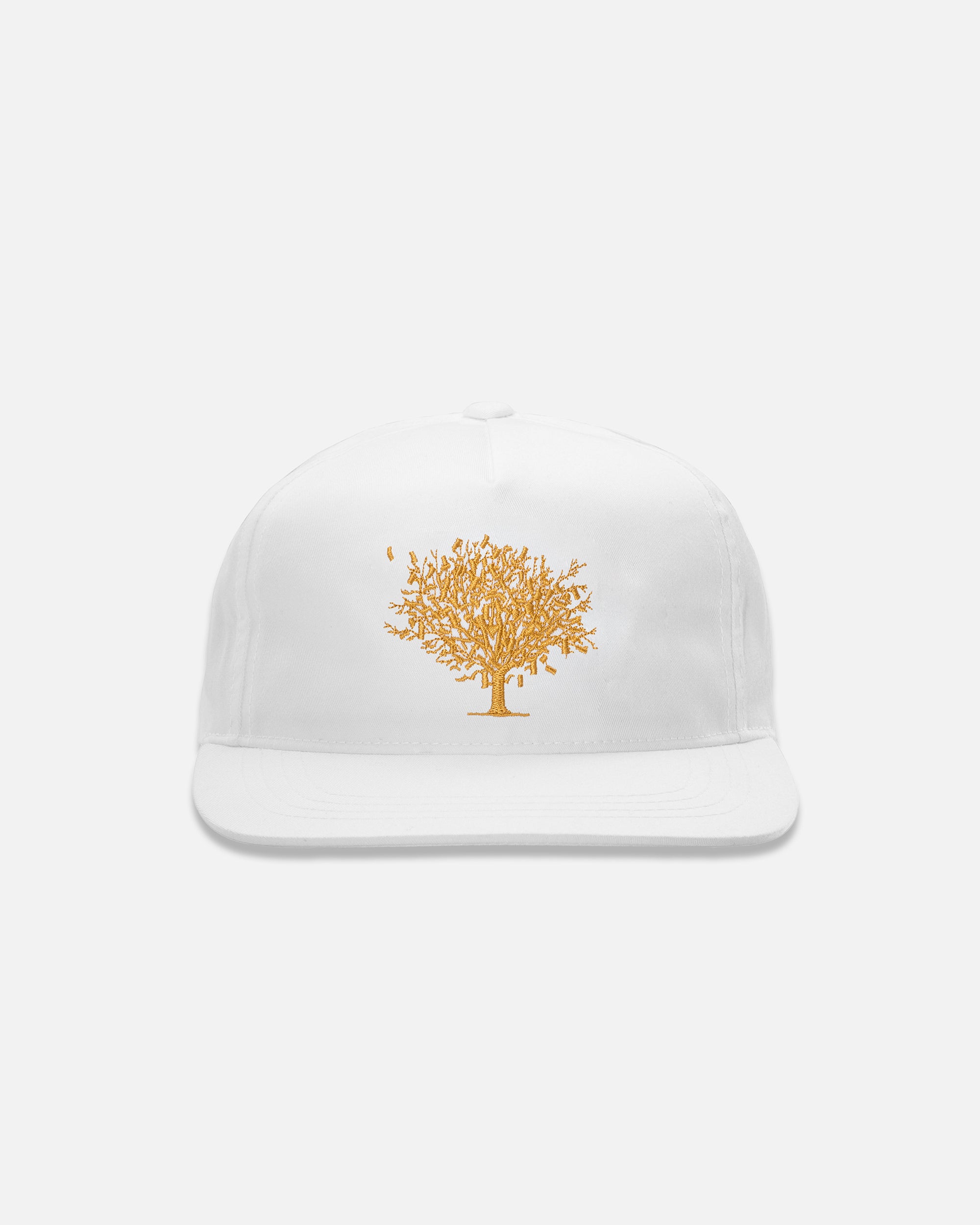 lids money tree hat MONEY TREE SNAPBACK